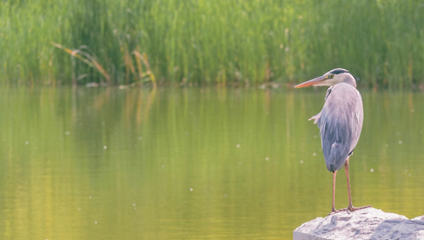 2 Day 지켜봐 주는 사랑