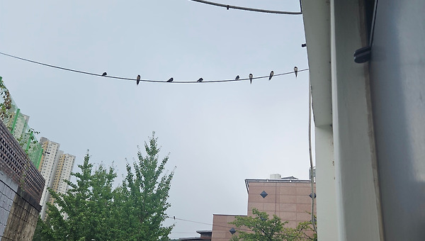 매일 읽고 쓰고 달립니다.