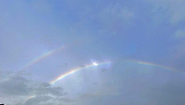 40년 지기 레인보우