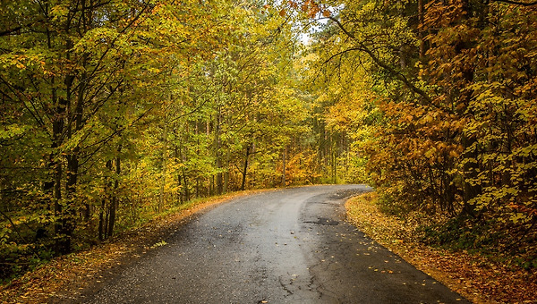 소란스러운 여름을 지나
