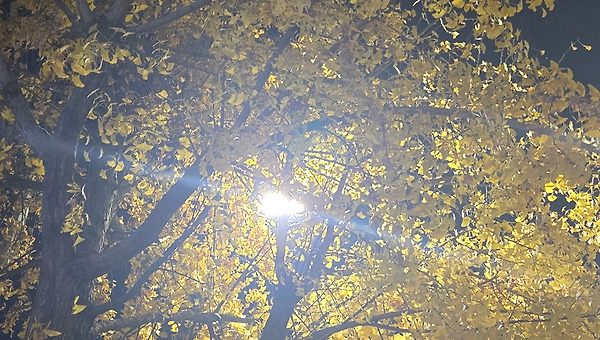 수능 뒤,부모의 밤