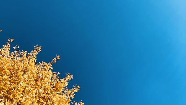 가끔 이런 눈물을 사랑해 보기로 했다