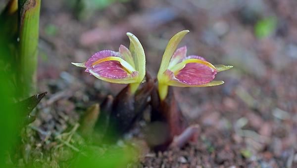 [연재] 바람이 불어오는 곳