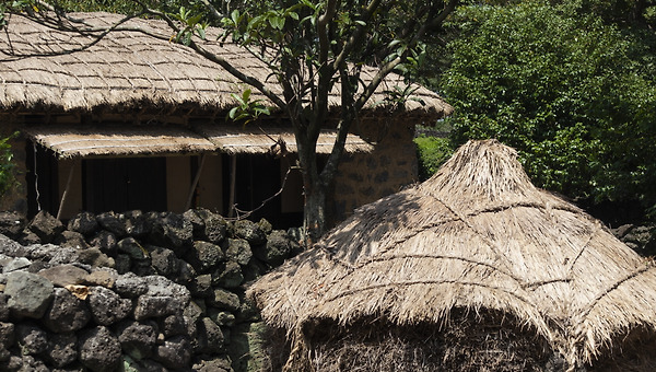 [연재] 바람이 불어오는 곳