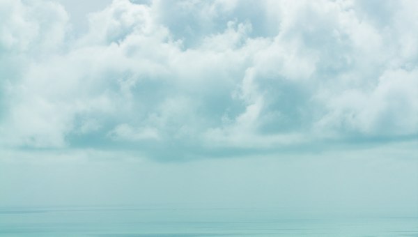 마음이 흔들리는 이유