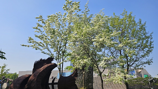 지우지 못한 이름