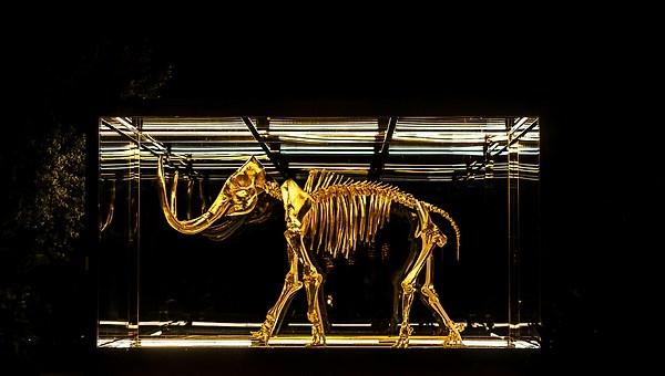 멸종된 매머드를 되살리는 스타트업