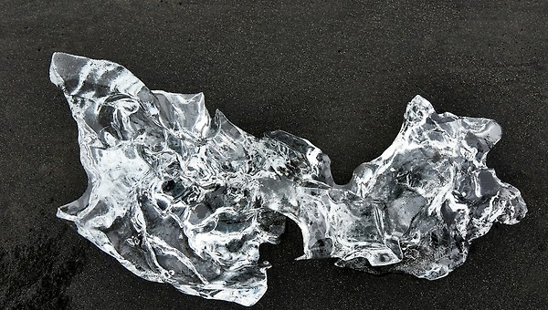 먹을 수 있는 포장지를 만드는 팀