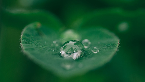 기식(氣食)을 위한 의식 혁명