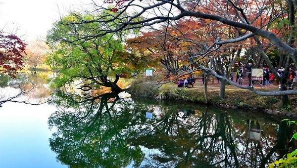 흔들리지 말아야지