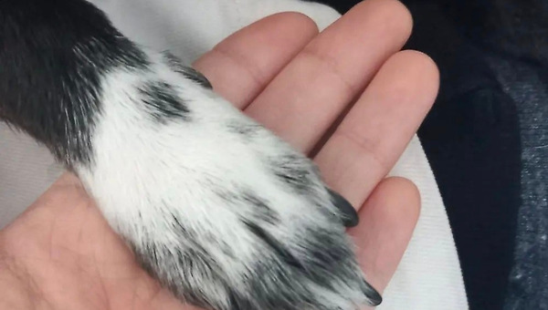 엑셀의 달인이 되는 방법