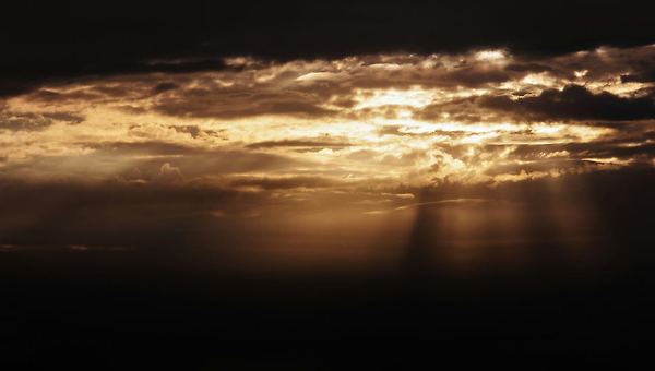 망각은 신의 축복이다