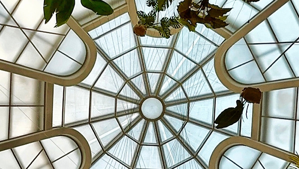 식물이 자라는 미술관, 구겐하임에서 만난 라시드 존슨