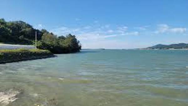 복길리에서 일어난 