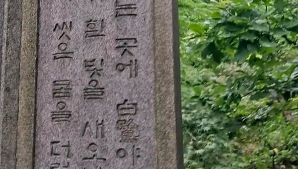 고집과 소신 사이