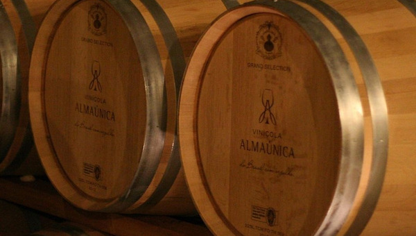 와인 숙성과 고기 숙성, 닮은 듯 다른 기다림