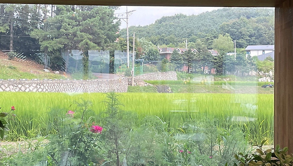 푸릇한 풍경같은 기쁜 마음을 안고