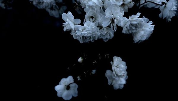 고요한 검은 것 사이에 섞인 하얀 난방