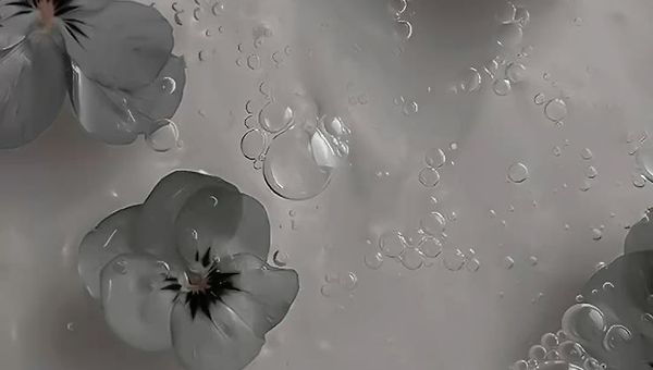 후남이와 귀남이를 기억하시나요?