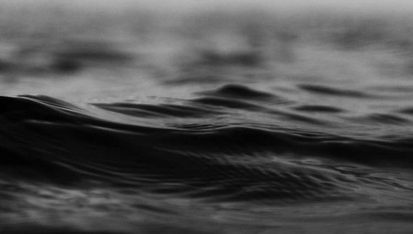 지식의 자유와 말의 무게