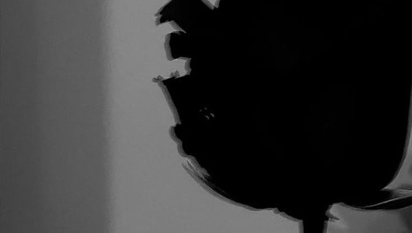 나에게로 돌아오는 밤 