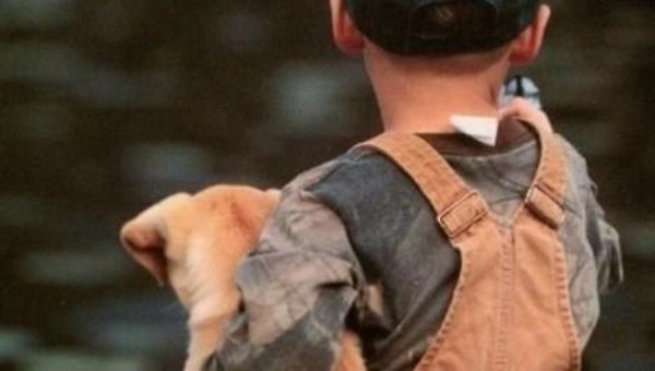 [복실이에게 보내는 편지]