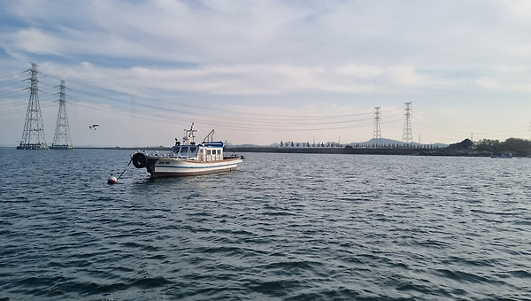  Group 3. 머리말: 실력을 증명하는 도구 