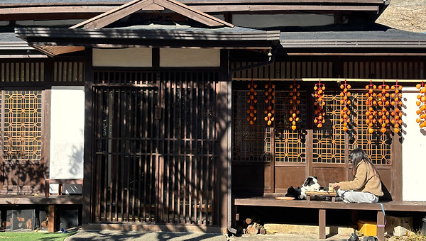 [11월 28일 금요일] 솔직한 사람 vs 솔직한 사람