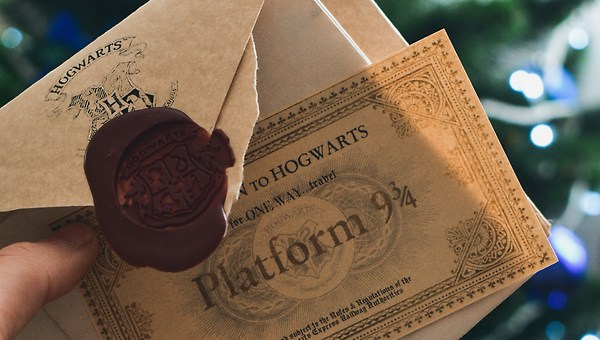 호그와트에서 배운 것들 