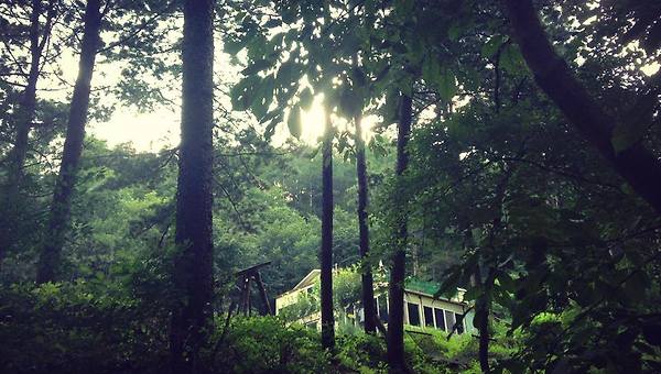 김기덕감독의 악어, 부산국제영화제의 출발 