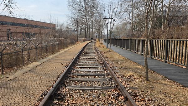 격국이 우선인가? 조후가 우선인가?