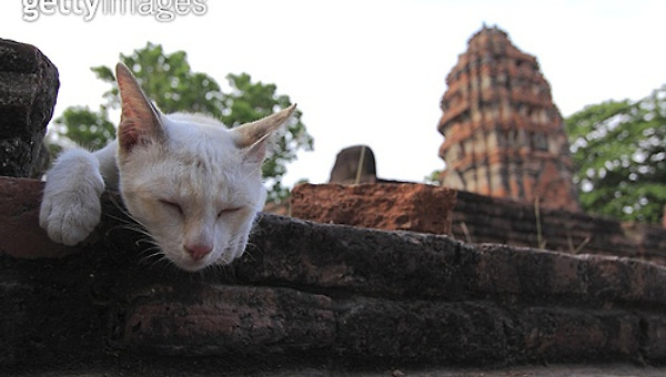 나도 모르는 나의 단면 