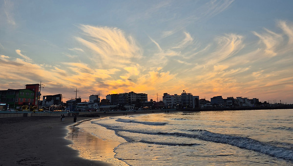 돌싱녀, 우연히 작가의 꿈을 이루다