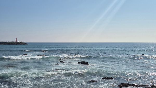 그는 어쩌다 돌싱녀를 사랑하게 됐을까