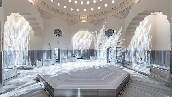 그들의 자부심, 고양이와 목욕탕