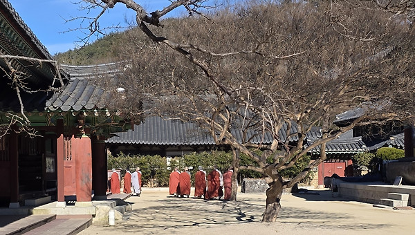 연안 생태계의 보고 순천만 습지와 순천 인문 여행