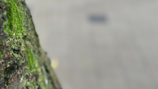 직장생활에서 동료란?