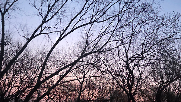 나누기 위한 삶(Living for giving)