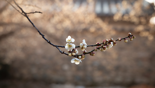 안티 불변의 법칙?