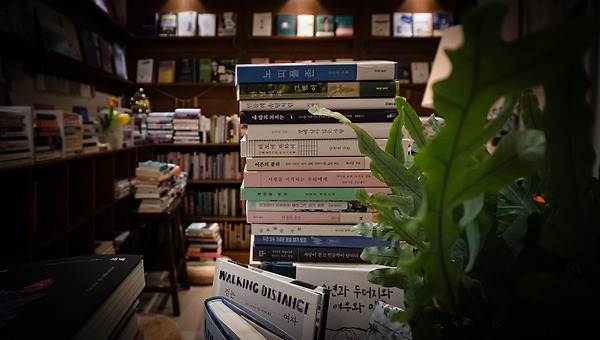 여전히 우린, 책에서 길을 찾을 수 있을까?