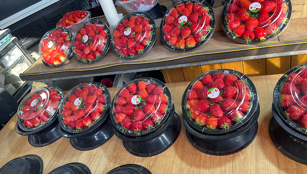 층간소음보다 시끄러웠던 건 내 마음이었다