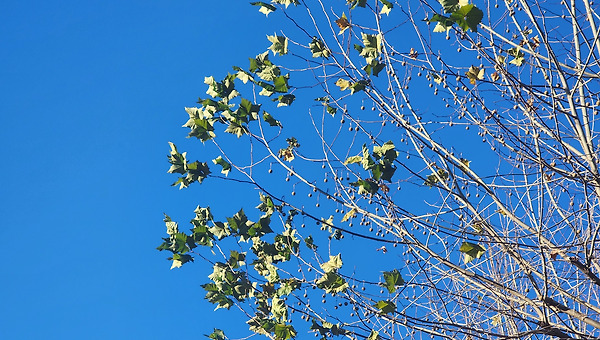 잘 할 수 있는 방법을 알려줘도 본인이 내키지 않으면