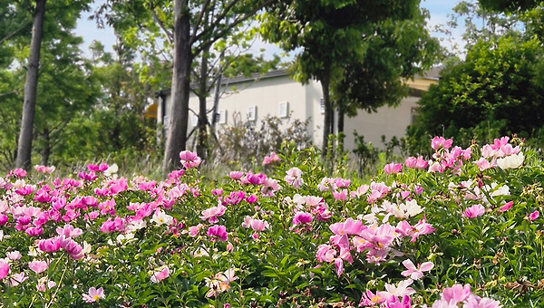 1. 시어머니에서 시자 떼기 연재2