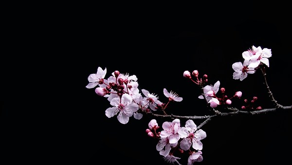 다시, 좋아하는 마음으로