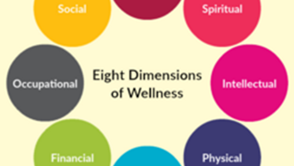 3. 세계 의료 웰니스 병원 시장 분석 보고서