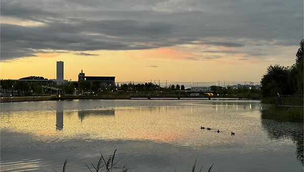 외로움과 친해지기