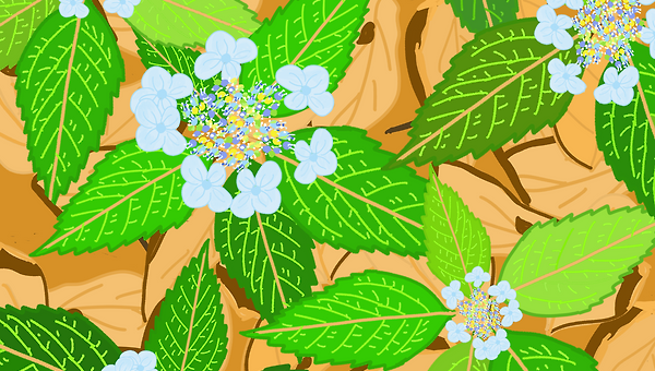 들꽃처럼, 제 자리에서