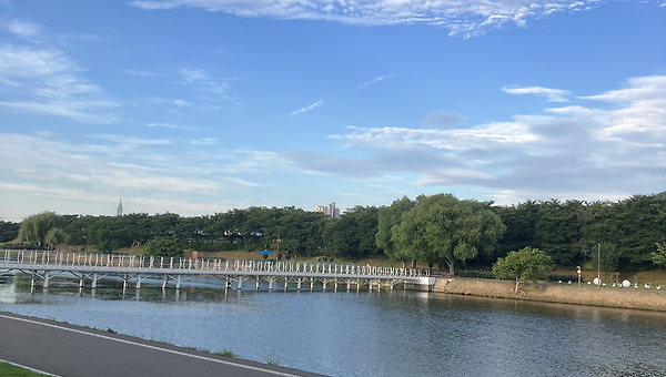 지방을 떠나기로 했다