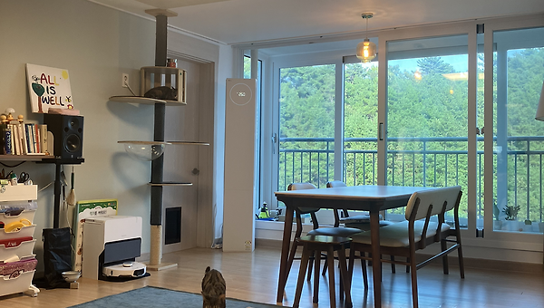 서울 빌라에서 지방 아파트로