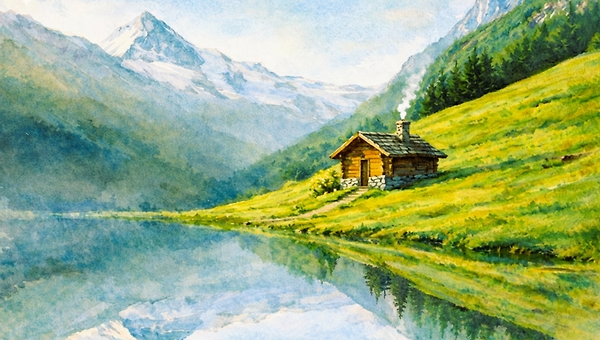 아스파라거스 숲 (5/5)